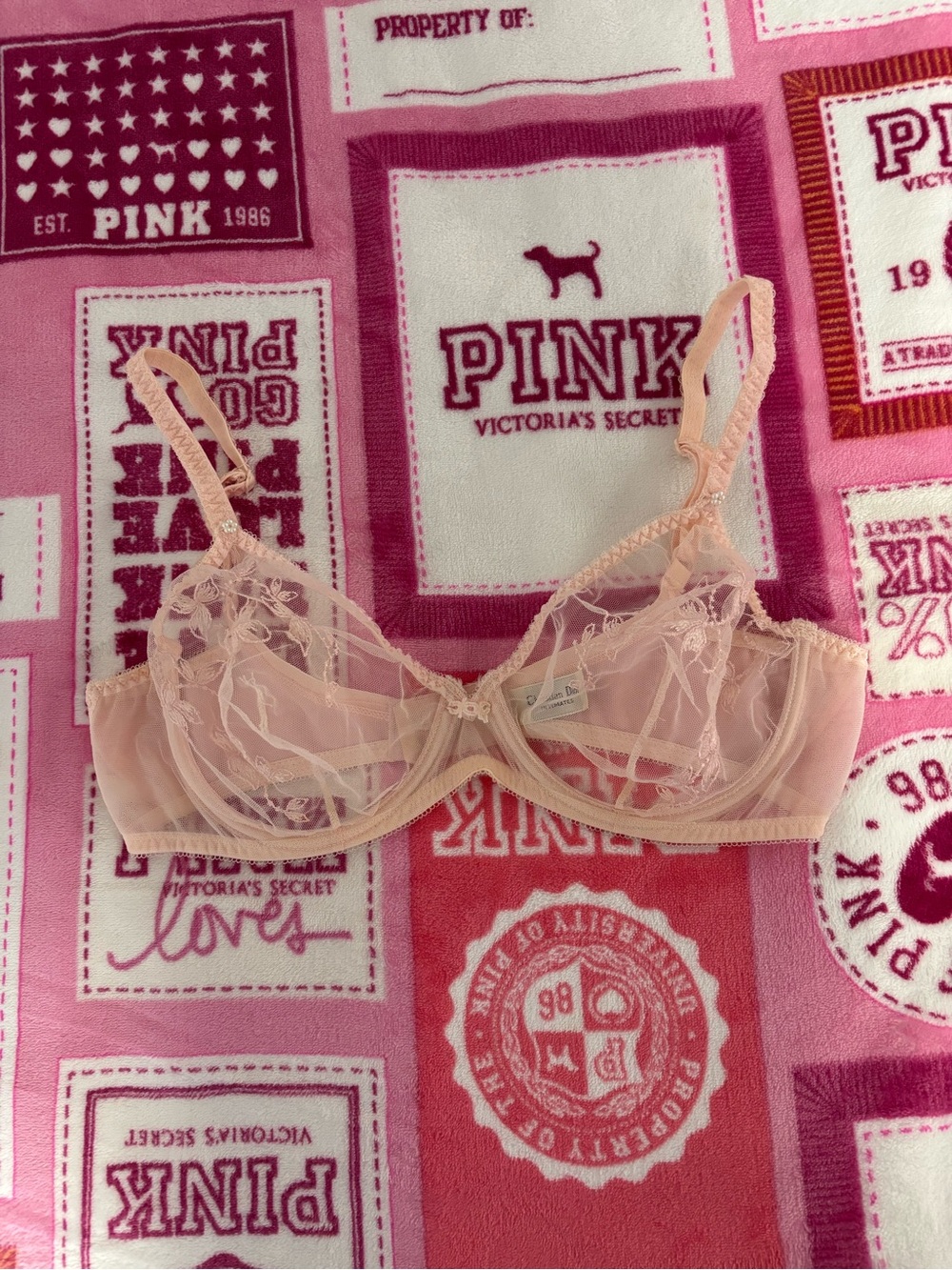 Dior Sheer Lace Underwire Bra - Blush Pink